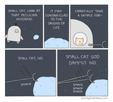 "Small Cat and the Asteroid" Print